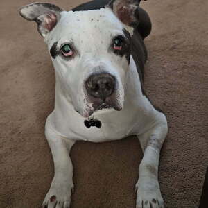 Team Page: Barney's Bunch